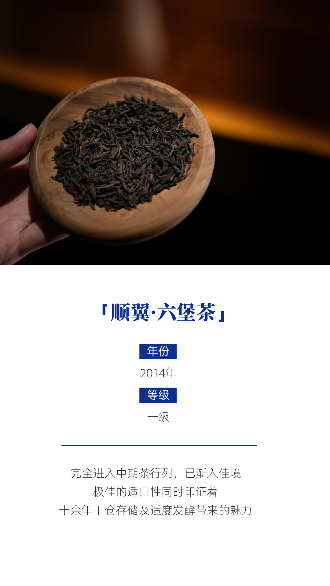 顺翼_画板 1 副本 4.jpg