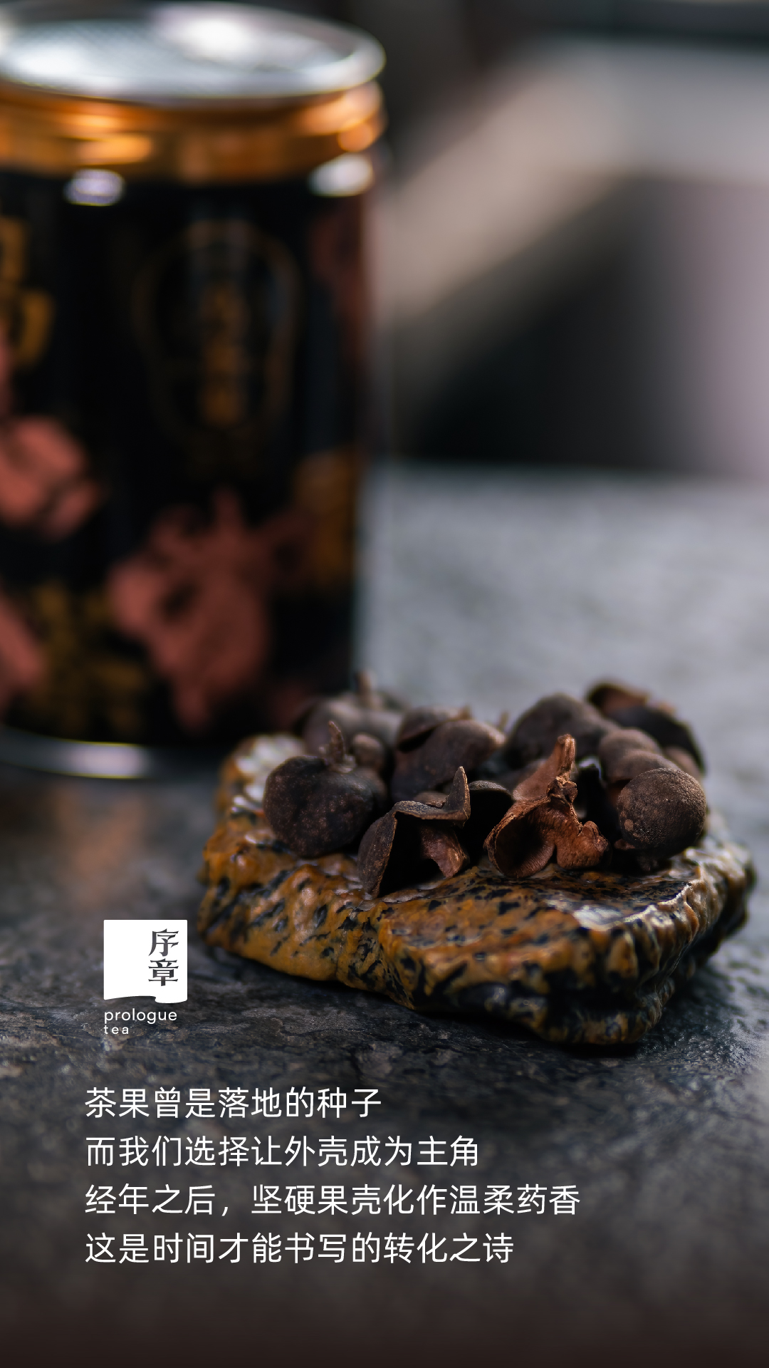 茶果壳_画板 1.jpg