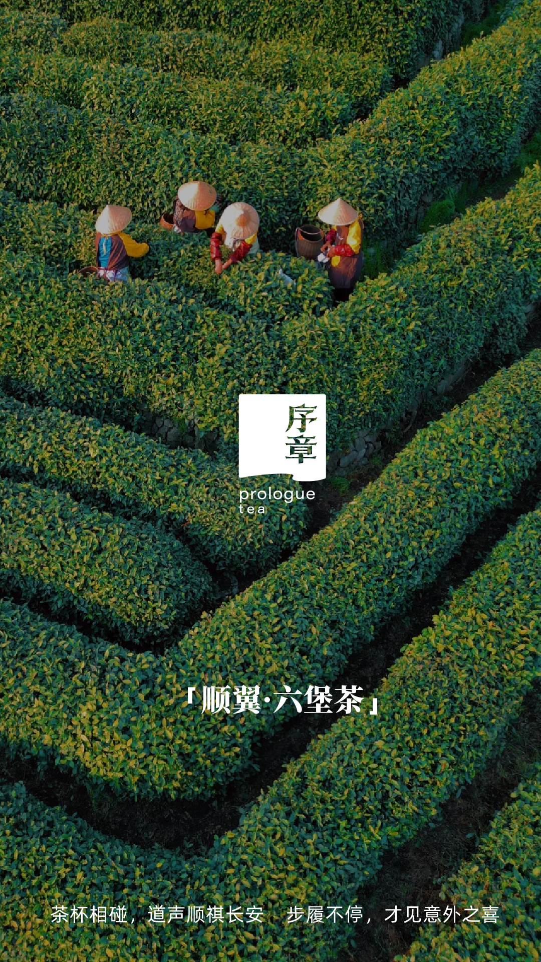 顺翼_画板 1 副本 8.jpg